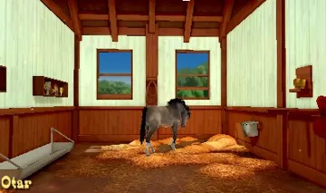 My Riding Stables 3D Jumping for the Team (Europe)(En,Fr,Ge,Es,Nl) screen shot game playing